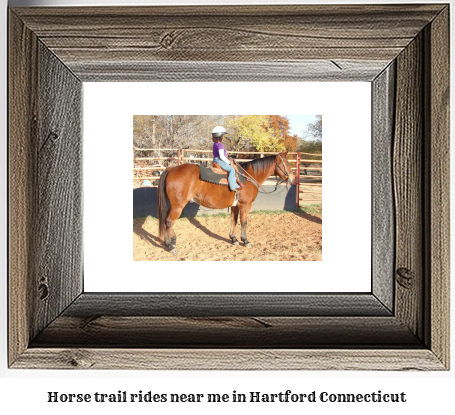 horse trail rides near me in Hartford, Connecticut